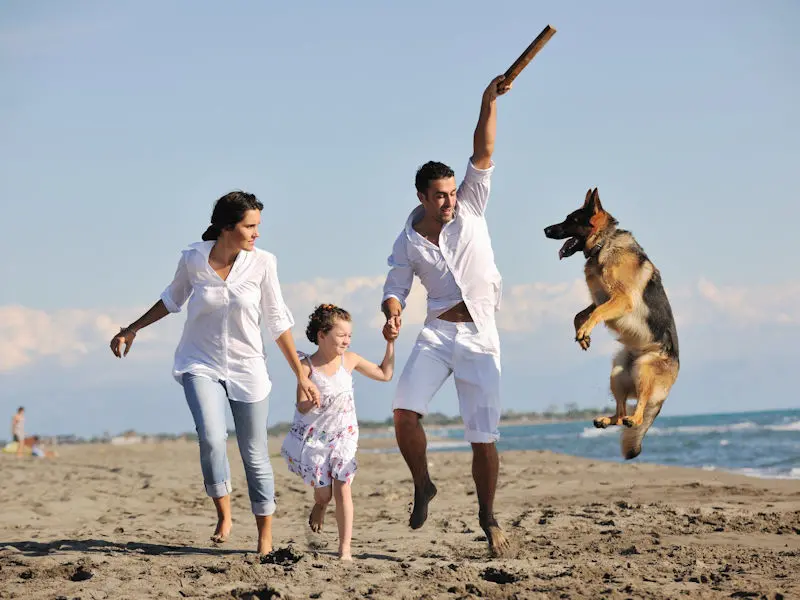 Family and dog on the beach